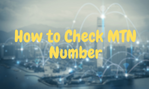 How to Check My MTN Number